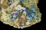 Vibrant Blue Chalcanthite - Mina Ojuela, Mexico #136846-1